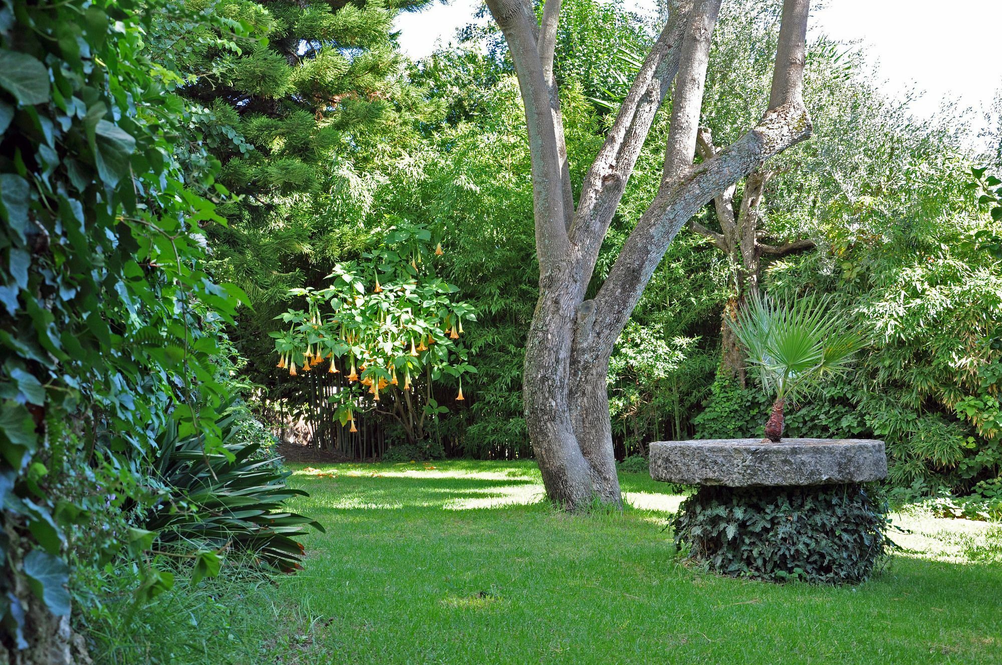 Villa Domenicale Agios Markos Exterior photo